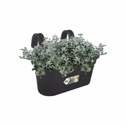 elho green basics easy hanger large Esterno Vaso a cubo Da appendere Polipropilene (PP) Nero