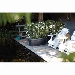 elho green basics garden xxl 60cm Esterno Vaso a cubo Libera installazione Polipropilene (PP) Nero - Vista aggiuntiva 4