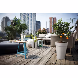 elho 8711904282578 accessorio per vaso Sottovaso