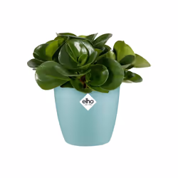 elho 8711904299408 vaso da fiori Verde Plastica