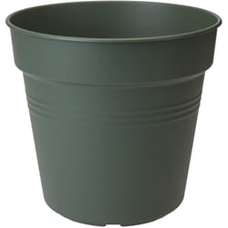 Vaso green basics growpot 19CM verde - Elho