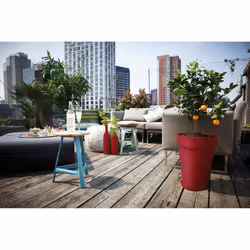 elho 8711904301361 accessorio per vaso Sottovaso