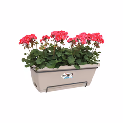 elho barcelona xl allin1 55cm Esterno Vaso a cubo Da appendere Polipropilene (PP) Grigio talpa