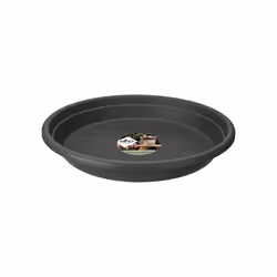 elho 8711904312435 accessorio per vaso Sottovaso