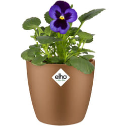 Elho - Vaso per piante 'Brussels' Rotondo Plastica Riciclata Sottovaso Rotondo Balcone Davanzale Finestra Varie Misure & Colori samtgold/0,8 Liter