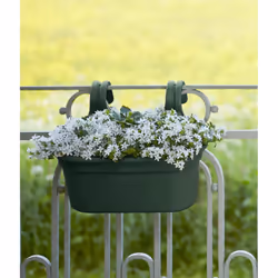 elho green basics easy hanger large Esterno Vaso a cubo Da appendere Polipropilene (PP) Verde - Vista aggiuntiva 4