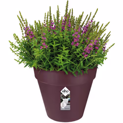 Regalate il giusto spazio alle vostre piante! Decorativa, robusta e riciclabile: La fioriera dal design elegante è realizzata ...