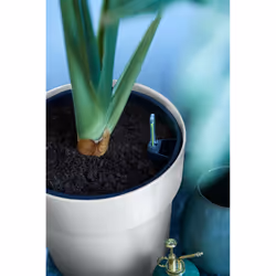elho 8711904331535 vaso da fiori Bianco Plastica - Vista aggiuntiva 4