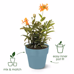 elho 8711904331535 vaso da fiori Bianco Plastica - Vista aggiuntiva 8