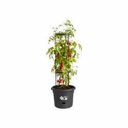 elho 8711904331634 vaso da fiori Nero Plastica - Vista aggiuntiva 4