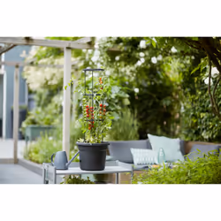 elho 8711904331634 vaso da fiori Nero Plastica - Vista aggiuntiva 7