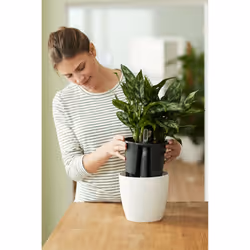 elho 8711904331726 accessorio per vaso - Vista aggiuntiva 8