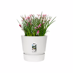 elho 8711904332235 vaso da fiori Bianco Plastica