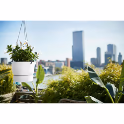 elho 8711904332242 vaso da fiori Bianco Plastica - Vista aggiuntiva 6