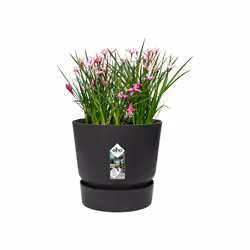 elho 8711904332334 vaso da fiori Nero Plastica - Vista aggiuntiva 4