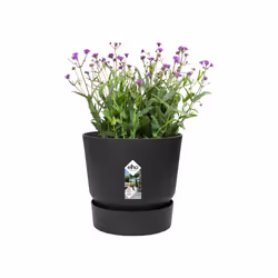 elho 8711904332334 vaso da fiori Nero Plastica - Vista aggiuntiva 5