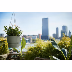elho 8711904332440 vaso da fiori Verde Plastica - Vista aggiuntiva 5
