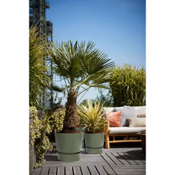 elho 8711904332471 vaso da fiori Verde Plastica - Vista aggiuntiva 8