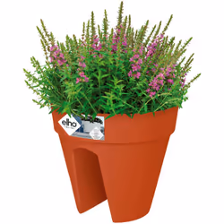 Regalate il giusto spazio alle vostre piante! Decorativa, robusta e riciclabile: La fioriera dal design elegante è realizzata ...