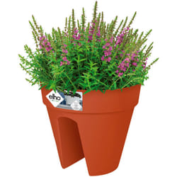 Elho - Fioriera da Balcone Plastica Riciclata Sistema di Scolo & Raccolta dell´Acqua con Apertura Centrale Vaso Ovale/Rotondo per Ringhiere Varie