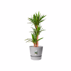 elho 8711904345754 vaso da fiori Grigio Plastica