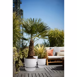 elho 8711904345839 vaso da fiori Grigio Plastica - Vista aggiuntiva 7
