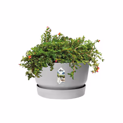 elho 8711904345877 vaso da fiori Grigio Plastica