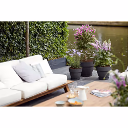 elho 8711904346379 vaso da fiori Nero Plastica - Vista aggiuntiva 6