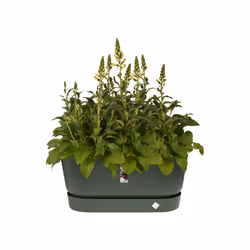 elho 8711904346904 fioriera Esterno Plastica Verde - Vista aggiuntiva 5