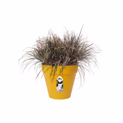 elho 8711904348502 vaso da fiori Giallo Plastica