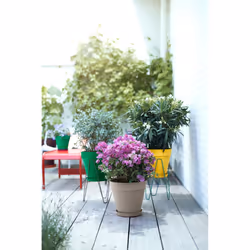 elho 8711904348533 vaso da fiori Giallo Plastica - Vista aggiuntiva 6