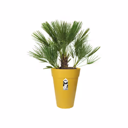elho 8711904348625 vaso da fiori Giallo Plastica