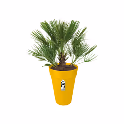 elho 8711904348625 vaso da fiori Giallo Plastica - Vista aggiuntiva 4