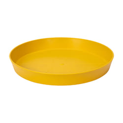 elho 8711904348656 accessorio per vaso Sottovaso