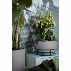 elho 8711904352233 vaso da fiori Grigio Metallo, Plastica - Vista aggiuntiva 7