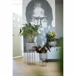 elho 8711904352233 vaso da fiori Grigio Metallo, Plastica - Vista aggiuntiva 8