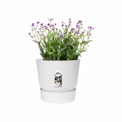 elho 8711904356804 vaso da fiori Bianco Plastica