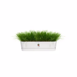 elho 8711904357672 fioriera Esterno Plastica Bianco - Vista aggiuntiva 4