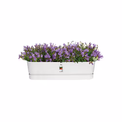 elho 8711904357672 fioriera Esterno Plastica Bianco - Vista aggiuntiva 5