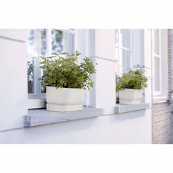 elho 8711904357672 fioriera Esterno Plastica Bianco - Vista aggiuntiva 7