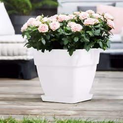 Regalate il giusto spazio alle vostre piante! Decorativa, robusta e riciclabile: La fioriera dal design elegante è realizzata ...