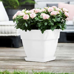 Elho - Vaso per piante 'vibia campana' Bianco Rotondo Plastica Riciclata Sottovaso Rotondo/Ovale Balcone Davanzale Finestra Varie Misure eckig/30