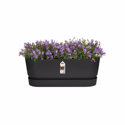 elho 8711904358358 fioriera Esterno Plastica Nero - Vista aggiuntiva 4