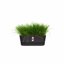 elho 8711904358358 fioriera Esterno Plastica Nero - Vista aggiuntiva 5