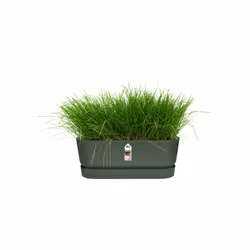 elho 8711904358389 fioriera Esterno Plastica Verde - Vista aggiuntiva 5