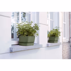 elho 8711904358389 fioriera Esterno Plastica Verde - Vista aggiuntiva 7