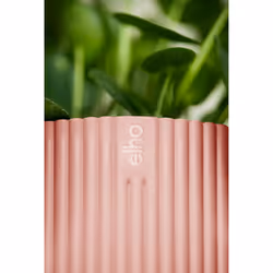 elho 8711904480974 vaso da fiori Rosa Plastica - Vista aggiuntiva 8