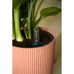 elho 8711904481216 vaso da fiori Rosa Plastica - Vista aggiuntiva 8