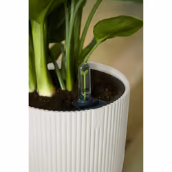 elho 8711904481247 vaso da fiori Bianco Plastica - Vista aggiuntiva 8