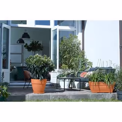 elho 8711904481971 accessorio per vaso Sottovaso